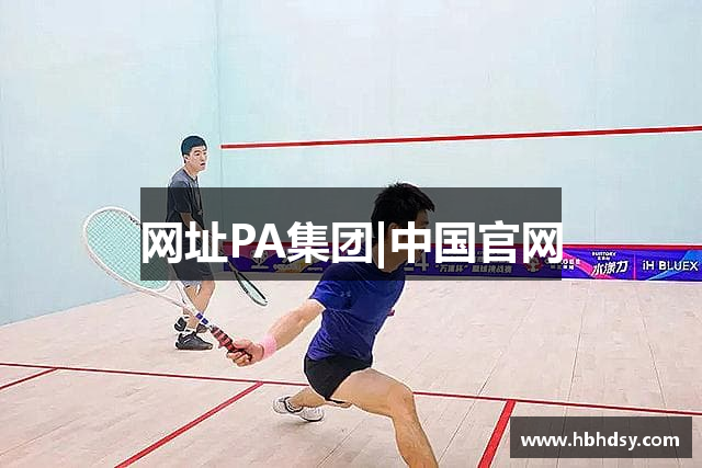 网址PA集团|中国官网